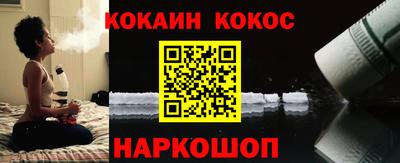 гашик Можга