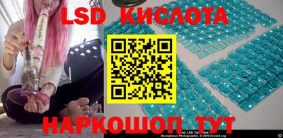 гашик Можга