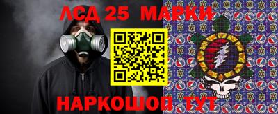 гидропоника Моздок