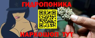 гашик Можга