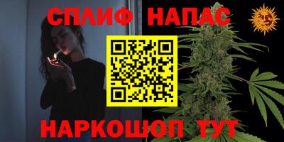 гашик Можга