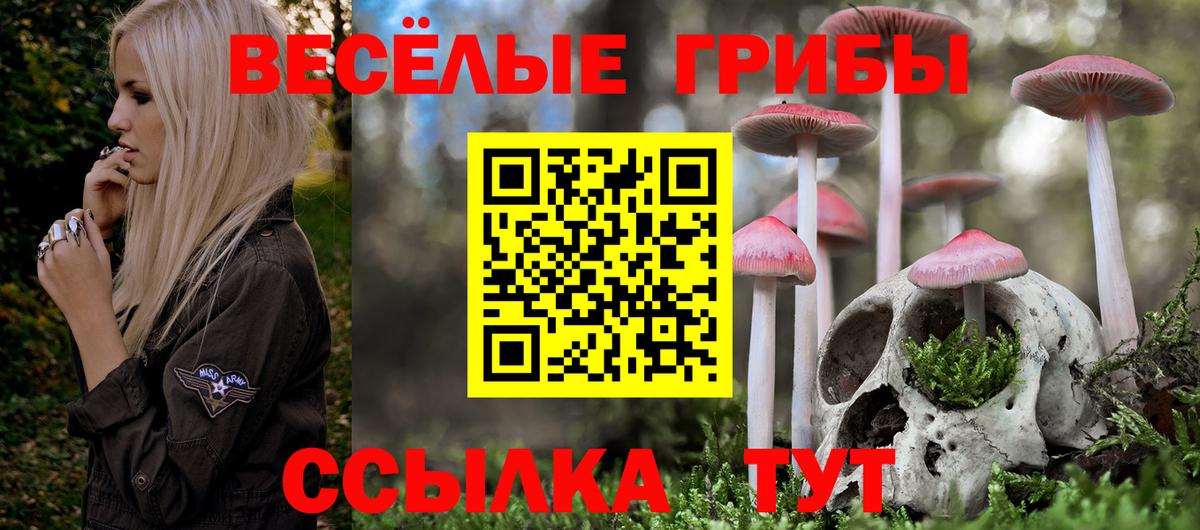 Сызрань  Псилоцибиновые грибы MAGIC MUSHROOMS  Вход с VPN 