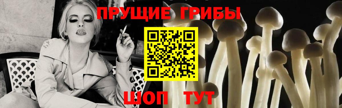 Псилоцибиновые грибы GOLDEN TEACHER Сызрань